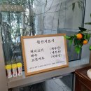 여주-0649 | 제주도 향토음식 고사리 육개장 제주공항 근처 맛집 섬누들