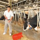 희석목장 이미지