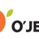 O JEJU 이미지