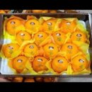 다미농장 이미지