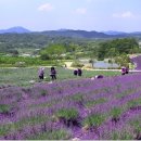 이승현농장 이미지