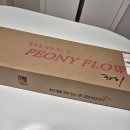 강진우체국 | 내돈내산] 우체국쇼핑 생화 주문 강진 꽃 '작약' 구매후기