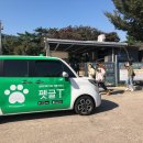 안녕펫택시 이미지