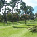 근린공원(1호) 이미지