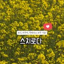 스치로다 이미지