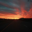 레드디어 이미지