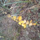 검성로-7 이미지