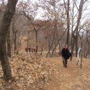 안곡초등학교 이미지