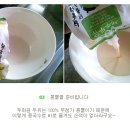 원두유 Daum카페