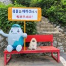 매미건어물
