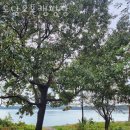 도담펜션 이미지