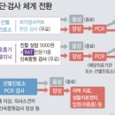 송림이비인후과 이미지