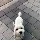 유성365약국 이미지