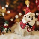 옐레드 시흥은계호수점 이미지