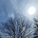 서수면사무소 이미지