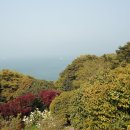 장사도해상공원 이미지