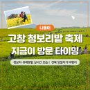 158 | 전북 고창 청보리밭 축제 실시간 방문후기(실전 방문팁, 주차, 전북 당일치기 여행지)