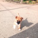 부흥농장 이미지