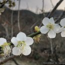 친환경우리농장 이미지