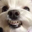 베러댄헤어 - 노원구 | 베러댄헤어