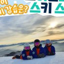 평창휘닉스파크스키강습아카데미
