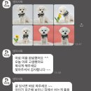 댕이샤워 이미지