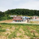 간척1리 이미지