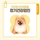 한양동물병원 이미지