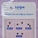 분당바둑학원 네이버블로그
