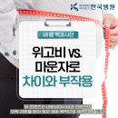 한국내과 | 위고비 vs 마운자로 차이, 효과, 부작용 제주내과에서 알려드려요!