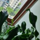 정원자동차공업사 이미지