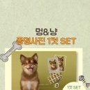 멍&냥