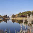 잠실근린공원(외) 이미지