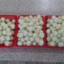 엠에이치팜 이미지