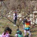 평리유치원 이미지