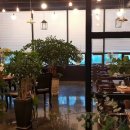 루리네(RURINE) 이미지