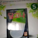 오씨채소