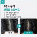 더블프레쉬 | only화해 라보에이치 두피강화 샴푸 더블세트 사용후기, 생각보다 만족도 높았음