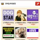 도그짱 이미지