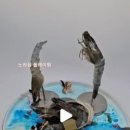 사계연화 이미지