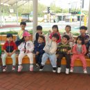 가림유치원 이미지