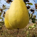 담비농장 이미지