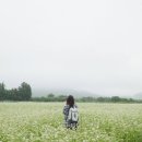 농업회사법인꽃과사람주식회사 이미지