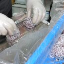 영동중앙시장 화장실 이미지