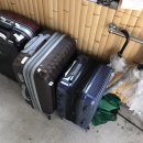 하다지재제2농장 | 오랜만에 5월 후쿠오카