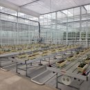 “공기 중 CO2 직접 농축” 스마트팜 활용…작물 수확량 늘린다 이미지