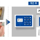 대성수산 - 완도군 해변공원로 137 | 대성수산