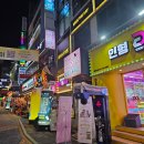 힐링캣 | [대전 둔산동 데이트] 캣카페 낭만고양이, 힐링 가득했던 평일 저녁 방문 후기