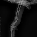 용인죽전 24시 스카이동물메디컬센터 이미지