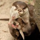 자연추어탕 이미지